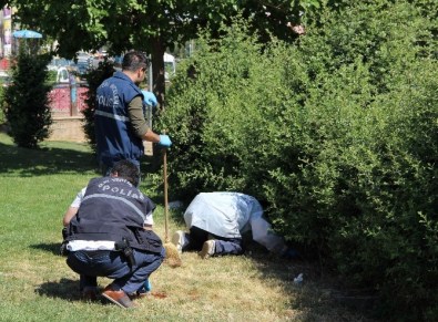 Ailesiyle Helalleştikten Sonra İntihar Etti