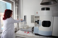 ÜST SINIR - Başkent'in Şebeke Suyu Yine Temiz Çıktı