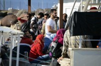 AKYARLAR - Bodrum'da Kaçak Operasyonu