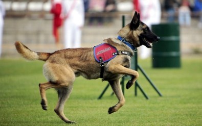 Jakem Kapılarını İHA'ya Açtı