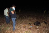 Kayıp Alzheimer Hastası Yaşlı Adam Tarlada Ölü Bulundu