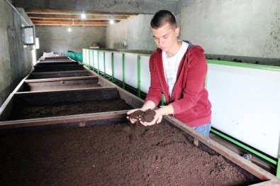 Merakla Başlayan Solucan Gübresi Üretimi Tüm Trakya'ya Yayıldı