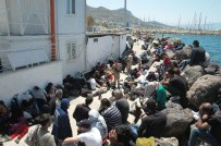 AKYARLAR - Muğla Açıklarında 217 Kaçak Yakalandı