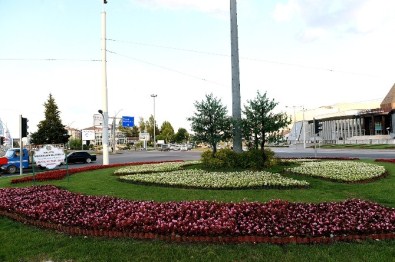 Refüj Düzenlemeleri Devam Ediyor