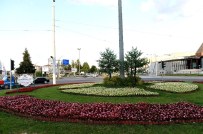 Refüj Düzenlemeleri Devam Ediyor