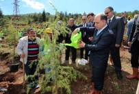 FİDAN DİKİM TÖRENİ - Amasya'da Davutoğlu İçin Hatıra Ormanı Oluşturuldu
