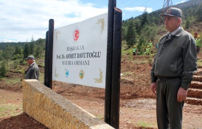 Başbakan Davutoğlu Adına Hatıra Ormanı