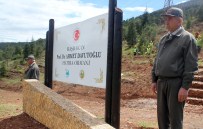 HALIL ÇOMAKTEKIN - Başbakan Davutoğlu Adına Hatıra Ormanı