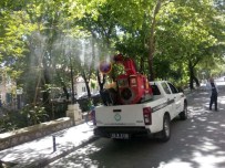 KAMU İHALE KANUNU - Büyükşehir'den Haşereyle Mücadele