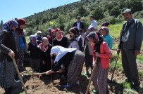 Korkuteli Avdan Kuran Kursu Öğrencilerinden Hatıra Ormanı