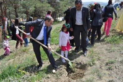 Sungurlu MYO Kampüs Alanına Fidan Diktiler