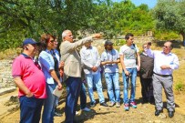 Torbalı'da Sanayi Tesisleri Ve Tarım İşsizliğin Önüne Geçti