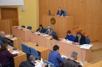 RUHI KURNAZ - Düzce Belediye Meclisi, Mayıs Ayı İlk Oturumunu Gerçekleştirdi