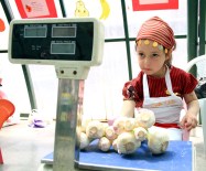 HALİDE EDİP ADIVAR - Minikler 'Pazarcı'Olunca Satışlar Arttı