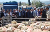 İRFAN TATLıOĞLU - Orhanelili Çiftçilere Ücretsiz Koyun Dağıtıldı