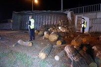 Tekirdağ'da Odun Yüklü Kamyon Devrildi Açıklaması 1 Yaralı