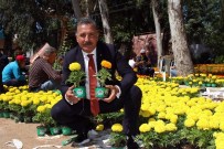 Annelere 50 Bin Çiçek