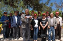 TÜKETİCİ MAHKEMESİ - Elektrikte Kayıp Kaçak Bedeli Faiziyle Birlikte Geri Ödenecek