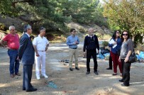 FETHİYE KAYMAKAMI - Fethiye'de Kruvaziyer Limanı Çalışmaları