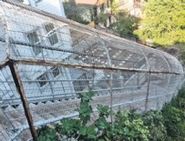SÖZCÜ GAZETESI - Akbaylar'ın kafesle çevrili merdivenleri