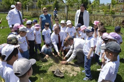Başkan Gürlesin, Minik Öğrencilerle Fidan Dikti