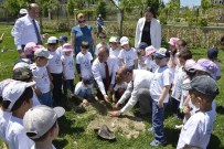 VEYSEL BEYRU - Başkan Gürlesin, Minik Öğrencilerle Fidan Dikti