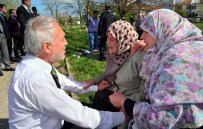 YONCALı - Başkan Saraçoğlu, Yoncalı'yı İnceledi