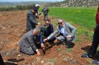 Korkuteli Bölge Trafik İstasyon Amirliğinden Hatıra Ormanı