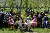 VEDAT BÜYÜKERSOY - Muş'ta Hıdırellez Kutlamaları