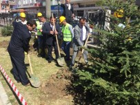 OKULLAR HAYAT OLSUN PROJESİ - Okul Bahçesine Fidan Ve Kuş Yuvası