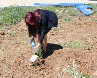 Sağlıkçılar Hatıra Ormanı Oluşturdu