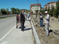 SALTUKOVA - Saltukova'da Yaya Yolu Çalışmalarına Başlandı