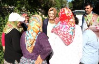 ESENPıNAR - AK Parti'li Sena Nur Çelik'ten 'İstikrar'Açıklaması
