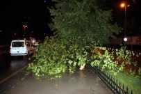 ŞİDDETLİ FIRTINA - Fırtına Ve Yağış Yalova'yı Felç Etti