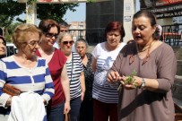 ZIRAAT MÜHENDISLERI ODASı - İzmir'de Balkon Tarımı Dönemi