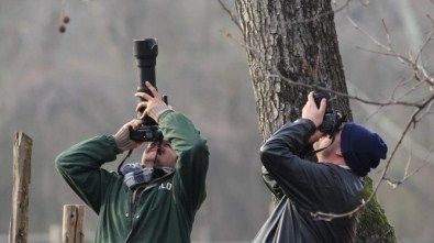 Karacabey Longoz Ormanlarında Fotoğraf Kampı