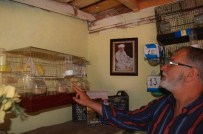 Kanarya Sesi İle Hayata Tutundu