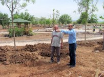 ÇINAR AĞACI - ‘Araban Karapınar Mesire Alanı'Projesi