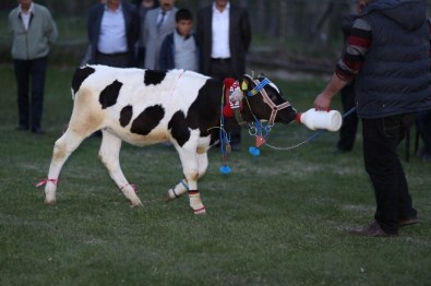 Çermik Festivali Dolu Dolu Geçiyor…