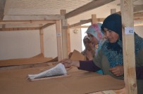 Şeyh Edebali Üniversitesi'nde İpek Böceği Yetiştiriliyor