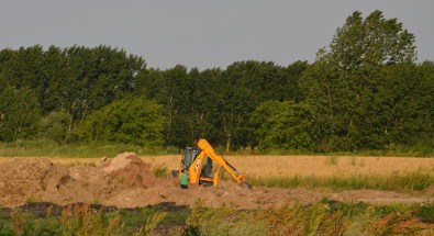 Bursa'da Kuş Gribi Şüphesi