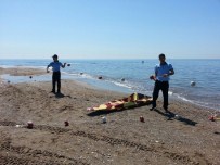 GIRDAP - Mezitli Belediyesi Sahilde Güvenlik Önlemlerini Aldı
