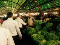 YARATıLıŞ - Özdağ, '7 Haziran Seçimleri Yeni Türkiye İnşasının Anahtarıdır'