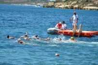 LEON - Tyf Yüzme Şampiyonası'nda Birinciler Belli Oldu