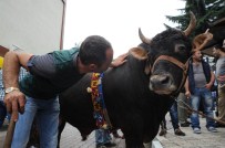 İSRAFİL KIŞLA - '35. Kafkasör Kültür, Turizm Ve Sanat Festivali'
