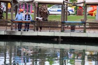 SOKAK KÖPEĞİ - Göle Düşen Köpeği Kurtarma Operasyonu