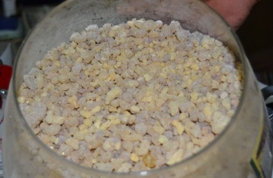 'Günlük Sakızı' Birçok Hastalığa İyi Geliyor