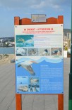 DENİZ KAPLUMBAĞALARI - Kuşadası'nda Deniz Canlılarını Korumak İçin Panolar Asıldı
