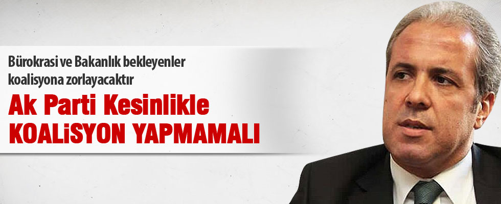 Şamil Tayyar: Ak Parti koalisyona girmemeli
