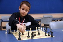 Satrançta Türkiye Başarısı